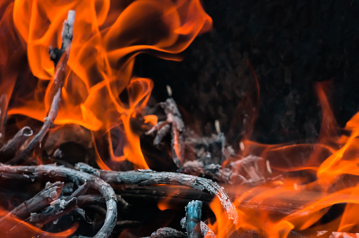 Abstract flame background: fire of burning brushwood close up forming a specific pattern.