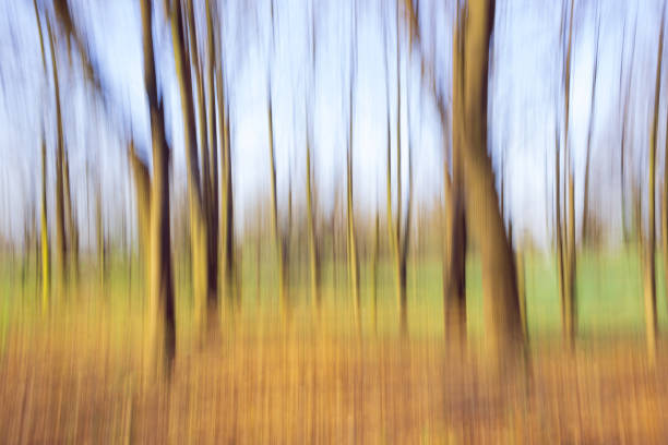 abstract forest in motion blur ,abstract colorful background. stock photo
