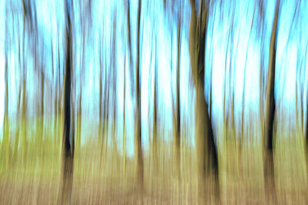 abstract forest in motion blur ,abstract colorful background. stock photo