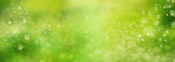 Abstract green spring background Abstract green nature view in spring. Flower dust in sunny garden. Spring motif with space for design and text. Background for easter and pentecost. pollen stock pictures, royalty-free photos & images