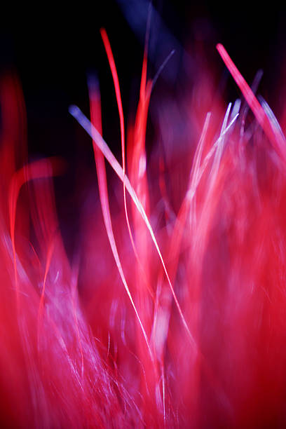 Abstract Macro of blurry red feather details Abstract Macro of blurry red feather details macro body hair stock pictures, royalty-free photos & images