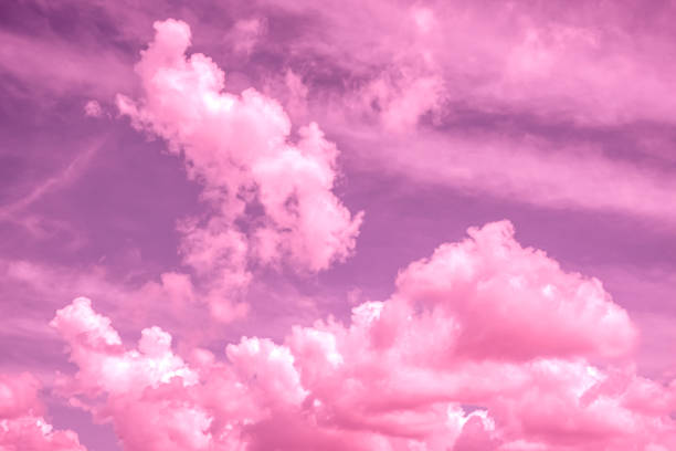 Abstract Pink Fluffy Clouds In A Magenta Sky - Background, Texture. stock photo