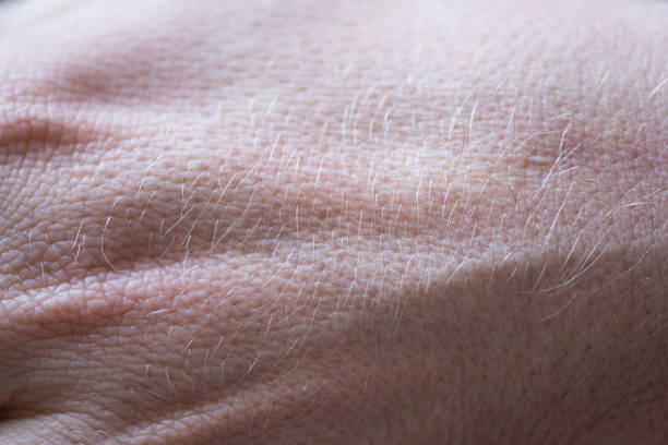 Abstract Skin Texture of Caucasian Man's Hand Abstract Skin Texture of Caucasian Man's Hand macro body hair stock pictures, royalty-free photos & images