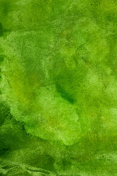 Abstract spring background in green stock photo