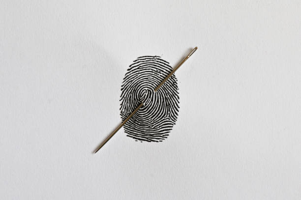 abstract thumb fingerprint and needle through the paper - royal blood imagens e fotografias de stock