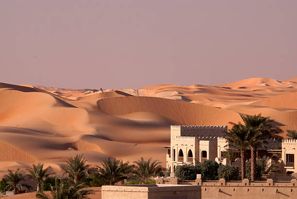 abu dhabi desert - abu dhabi bildbanksfoton och bilder