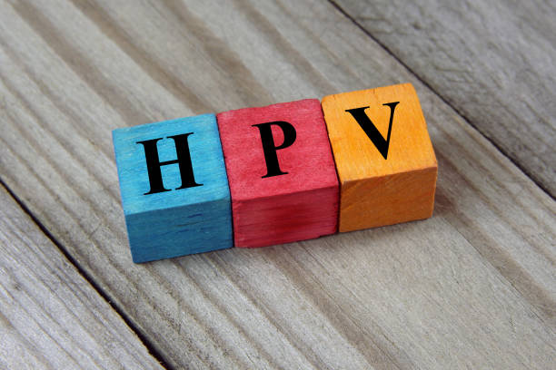 HPV acronym on colorful wooden cubes stock photo