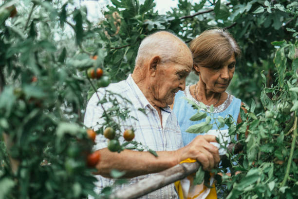 Active couple gardening stock photo