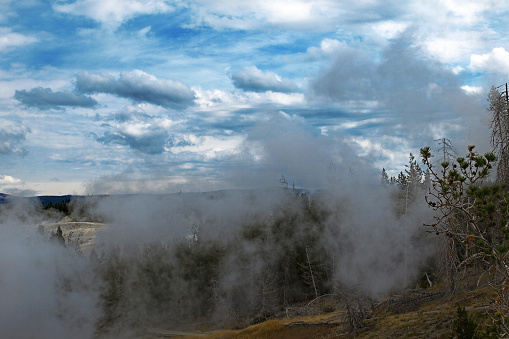 Active geysers in the National park, Yellowstone National Park, USA