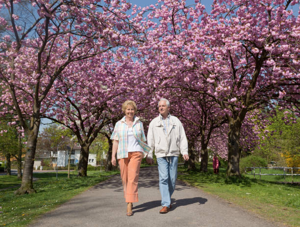 active senior couple walking under blooming cherry trees - trilhos pedestres imagens e fotografias de stock