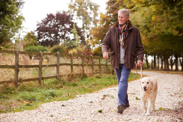 uomo anziano attivo in autunno cammina con il cane in cammino attraverso la campagna - autunno energia foto e immagini stock