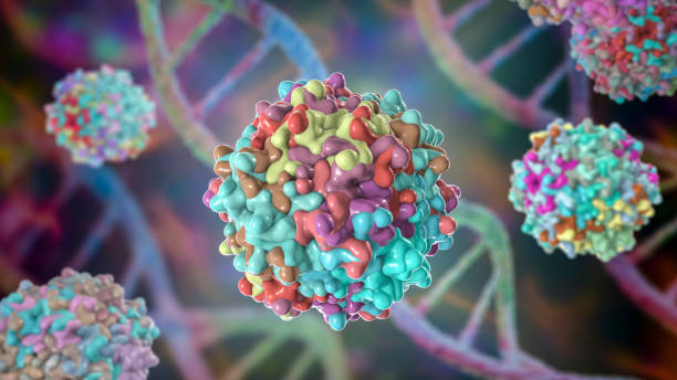 Adeno-associated viruses, 3D illustration stock photo