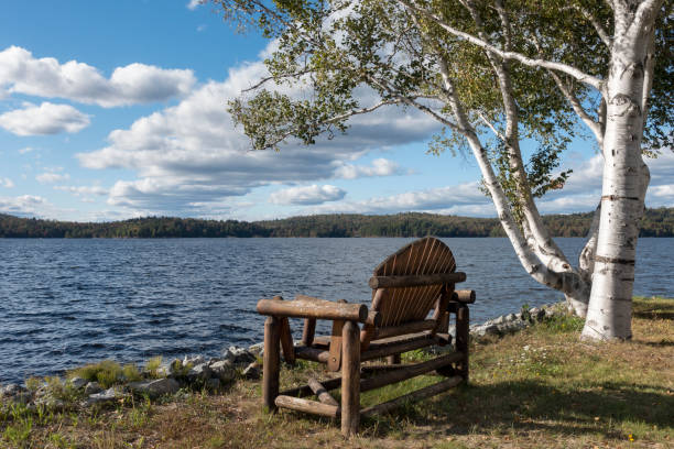 Adirondack Chair on Tupper Lake, New York An old wooden Adirondack swinging chair next to some white Birch trees on the edge of the historic Tupper Lake in the Adirondack Park of New York State tupper lake stock pictures, royalty-free photos & images