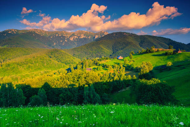 Admirable summer rural landscape at sunset, near Bran, Transylvania, Romania Picturesque summer alpine landscape with green fields and mountains at sunset, Simon, Transylvania, Romania, Europe bucegi mountains stock pictures, royalty-free photos & images