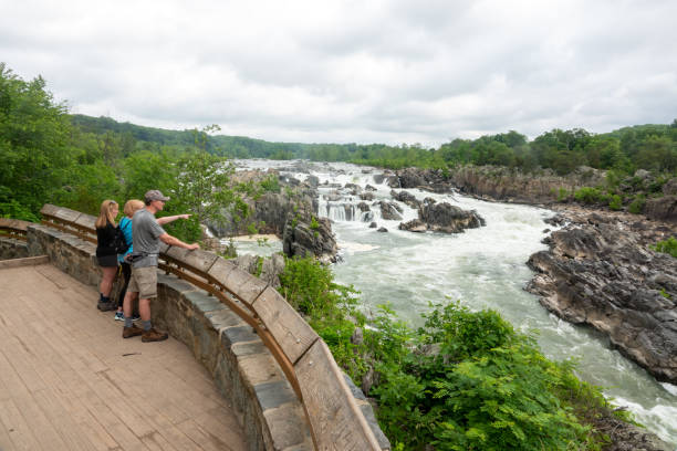 Admiring the rapids at Great Falls stock photo