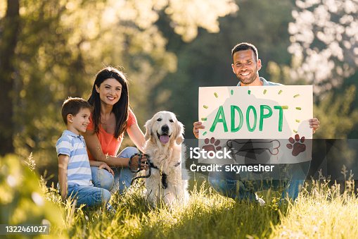 istock Adopt a pet, don't buy it! 1322461027