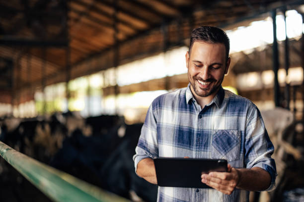 Adult man, implementing technology on the farm. stock photo