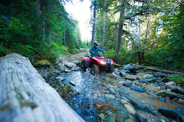 ATV adventure ATV or quad adventure in the forest off road vehicle stock pictures, royalty-free photos & images