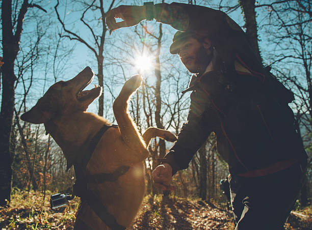las aventuras en el woods: premio el perro - candy canes fotografías e imágenes de stock
