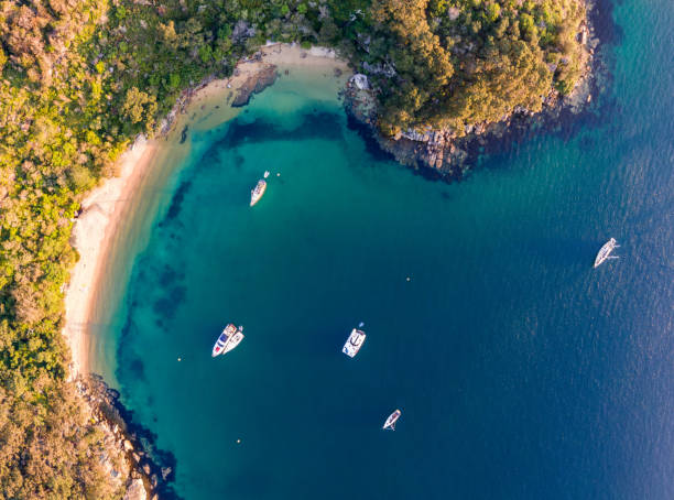 Aerial drone bird's eye view of sailboats and yachts anchored at Store Beach near Quarantine Station in Manly, the beachside suburb of Sydney, New South Wales, Australia, in the evening before sunset. stock photo