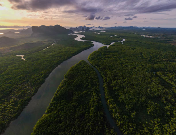 imagens aéreas de drones sobrevoando manguezais e floresta tropical exuberante na baía de phangnga tailândia a vista é de ilhas montanhosas e dramático nascer do sol laranja sobre o oceano - drone sobrevoando o mar - fotografias e filmes do acervo