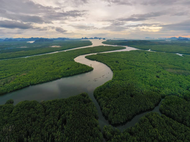 imagens aéreas de drones sobrevoando manguezais e floresta tropical exuberante na baía de phangnga tailândia a vista é de ilhas montanhosas e dramático nascer do sol laranja sobre o oceano - drone sobrevoando o mar - fotografias e filmes do acervo