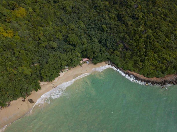 Aerial drone photo of jungle beach, Rumassala, Galle, Sri Lanka. Highlighting the thick forest adjoining the sea. Tourists are visible bathing in the ocean and visitors enjoying waves on the coast. stock photo