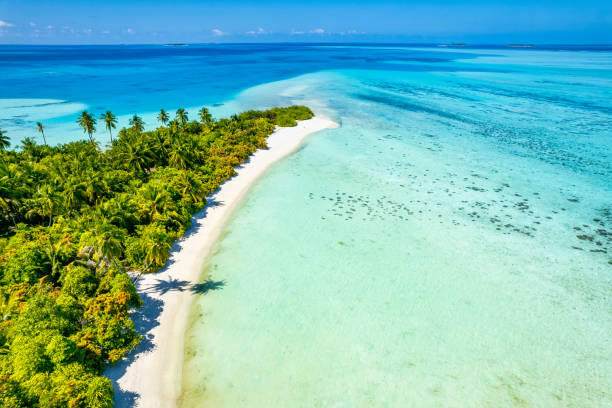 Aerial drone view of desert island and coral reef in Maldives stock photo