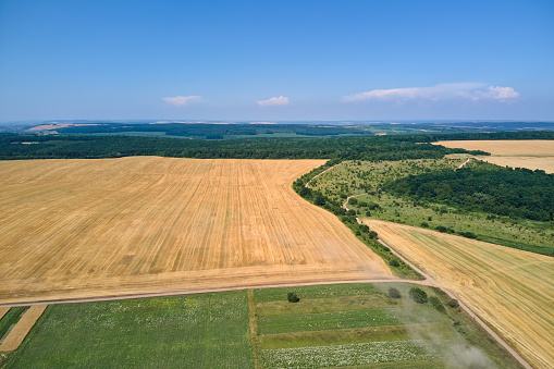Aerial landscape view of yellow cultivated agricultural field with dry straw of cut down wheat after harvesting.
