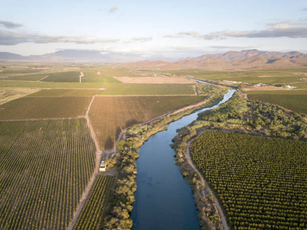 luchtantenne van grote rivier die door wijngaarden stroomt - robertson stockfoto's en -beelden