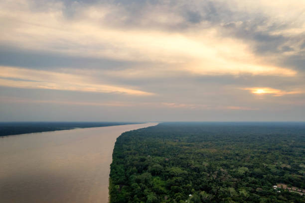 Aerial panorama view of the Amazon River and forest at sunset stock photo