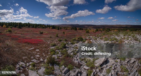 istock Aerial Panoramic View of the Dolly Sods Wilderness and Bear Rocks in West Virginia's Monongahela State Park in the Fall 927974794