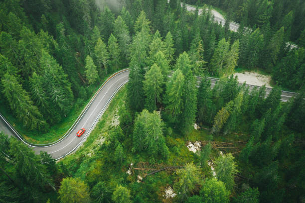 Aerial perspective of car driving up a wet road through the forest The road is empty and curving pinaceae stock pictures, royalty-free photos & images