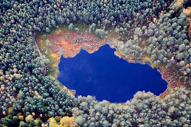 Aerial photo of a forest pond. Autumn stock photo