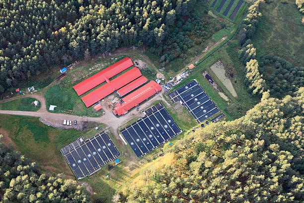 Aerial photo of fish farm stock photo