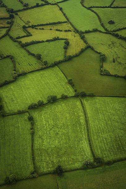 Aerial photo over green fields patchwork meadows farm pasture hedgerows Aerial view over patchwork quilt of green pasture, meadows and agricultural crop farm land. copse stock pictures, royalty-free photos & images