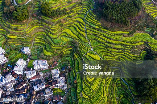 istock Aerial photography of the beautiful rural landscape of Wuyuan, China 1308624653