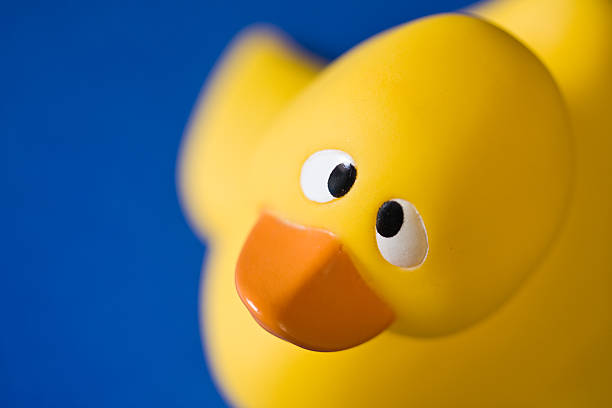 Aerial portrait of an imploring rubber duck stock photo
