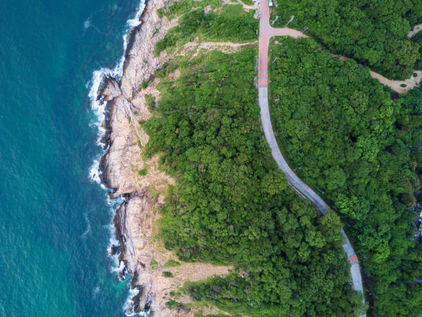 luchtfoto top van de weg door groene bossen op de berg op tropisch eiland met kant van de oceaan. het schilderachtige luchtfoto landschap van de natuur op een groene heuvel met een weg door het hout. - zeeland stockfoto's en -beelden