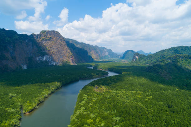 Aerial view drone shot of beautiful natural scenery river in mangrove forest and high mountains in phang nga province Thailand stock photo