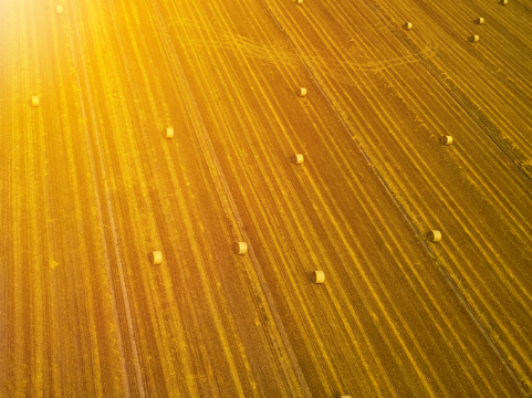 Aerial view from high altitude of a stubble field with round bales of straw on the field shone by the sun