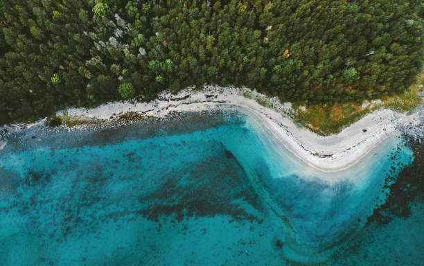 Aerial view ocean sandy beach and coniferous forest drone landscape in Norway above trees and blue sea water scandinavian nature wilderness top down scenery stock photo