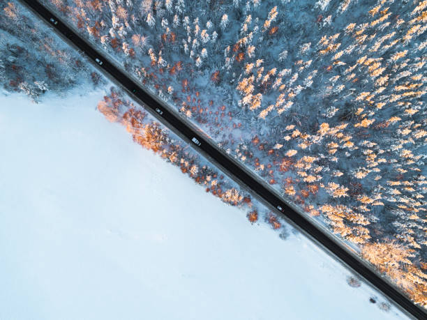 vista aérea de um carro na estrada de inverno na floresta. zona rural de paisagem de inverno. fotografia aérea de bosque nevado com um carro na estrada. capturado por cima com um zangão. foto aérea. carro em movimento - city from top - fotografias e filmes do acervo