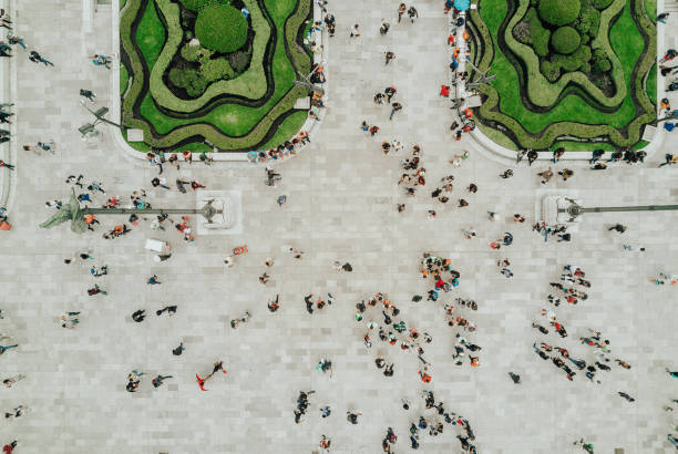 Aerial View of a Crossing in Mexico City Aerial View of a Crossing in Mexico City formal garden photos stock pictures, royalty-free photos & images