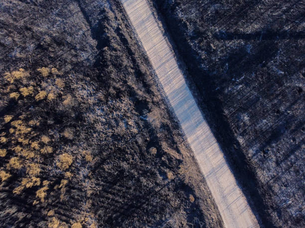 aerial view of a forest burnt in a fire, climate change concept - fire portugal imagens e fotografias de stock