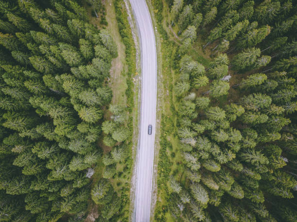 Aerial view of a forest road stock photo
