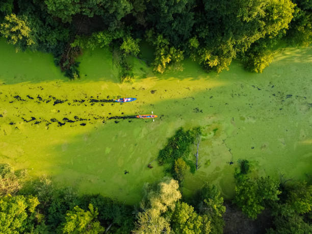 aerial view of a group of kayaks traveling on a forest river on a summer day stock photo