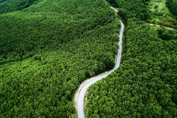 Aerial view of a provincial road passing through a forest stock photo