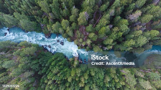 istock Aerial view of a river flowing through a temperate rainforest 1329251224
