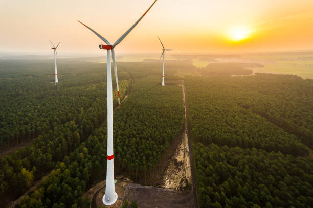 luftaufnahme eines windparks im wald bei sonnenaufgang - tim siegert stock-fotos und bilder